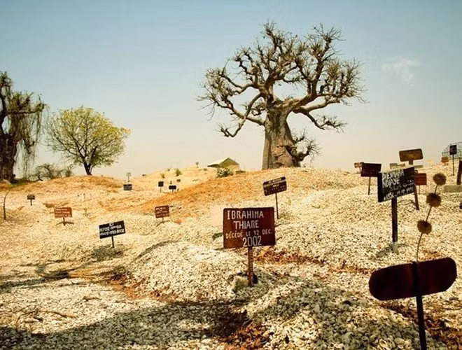 Ở đảo Fadiouth nổi tiếng nhất chính là nghĩa trang vỏ sò. Tại đây, những ngôi mộ đều được đắp đầy vỏ sò. Có thể thấy, cuộc sống của người dân nơi đây từ khi sinh ra tới lúc chết đi đều được che chở bởi hàng nghìn vỏ sò. Điều đó đã tạo lên nét đẹp bình dị hấp dẫn nhiều du khách ghé thăm