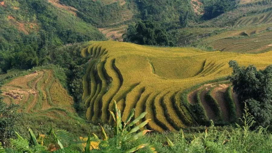 SaPa: Vùng núi thuộc Lào Cai thu hút nhiều du khách tới đây với bầu không khí trong lành, các thác nước "thần tiên", dịch vụ homestay văn hóa, rừng tre và dốc núi đầy thách thức.