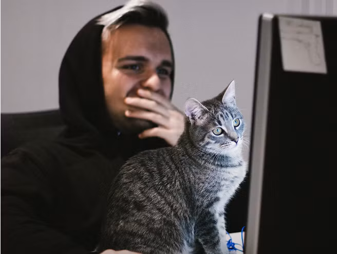 Bat ngo cuoc song o thanh pho St.Petersburg qua nhung con so-Hinh-10