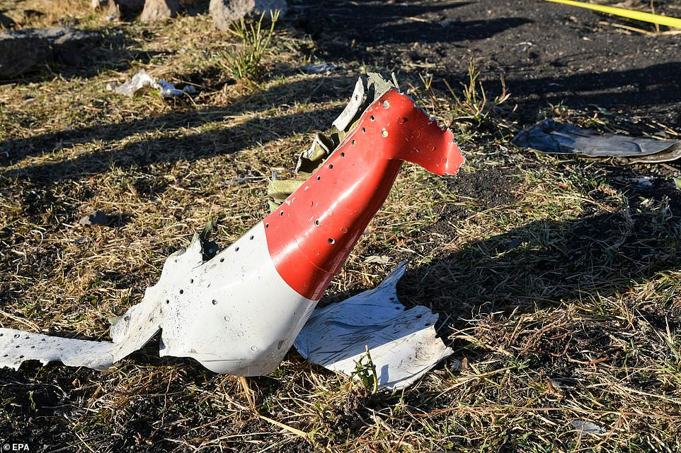 Toan canh vu roi may bay Boeing tham khoc o Ethiopia-Hinh-11