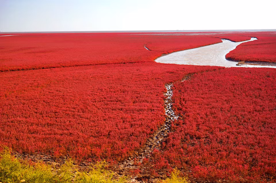 Choang ngop nhung dia diem “sac so” nhat hanh tinh-Hinh-12
