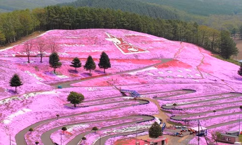 Choang ngop nhung dia diem “sac so” nhat hanh tinh-Hinh-2