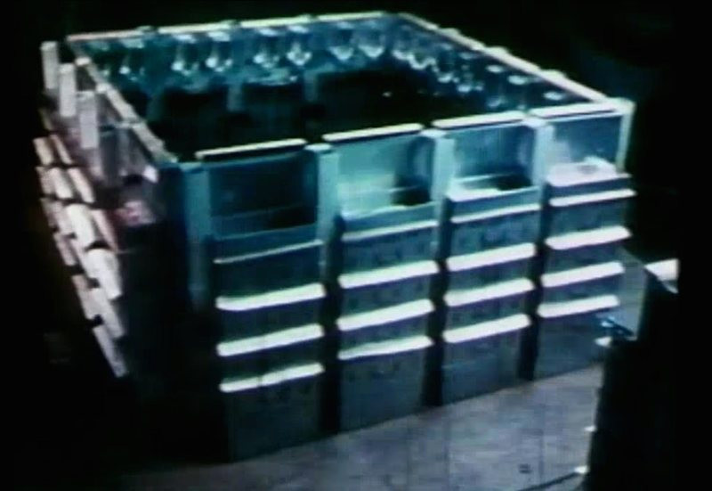 Ky la thi nghiem xay dung “xa hoi khong tuong” cho chuot-Hinh-2