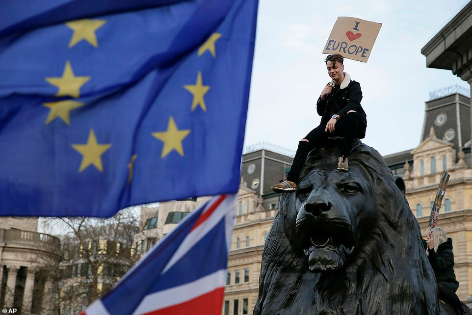 Bien nguoi bieu tinh phan doi Brexit o thu do London-Hinh-6