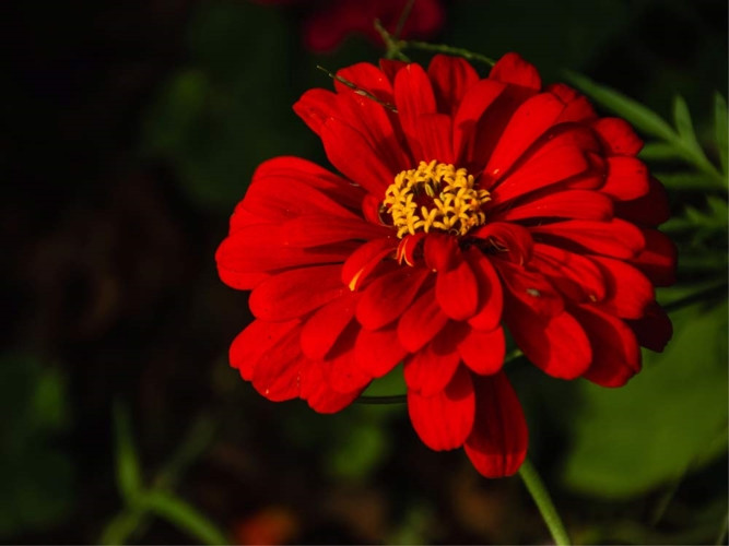 Bat ngo voi nhung phong tuc “doc nhat vo nhi” tren the gioi-Hinh-13