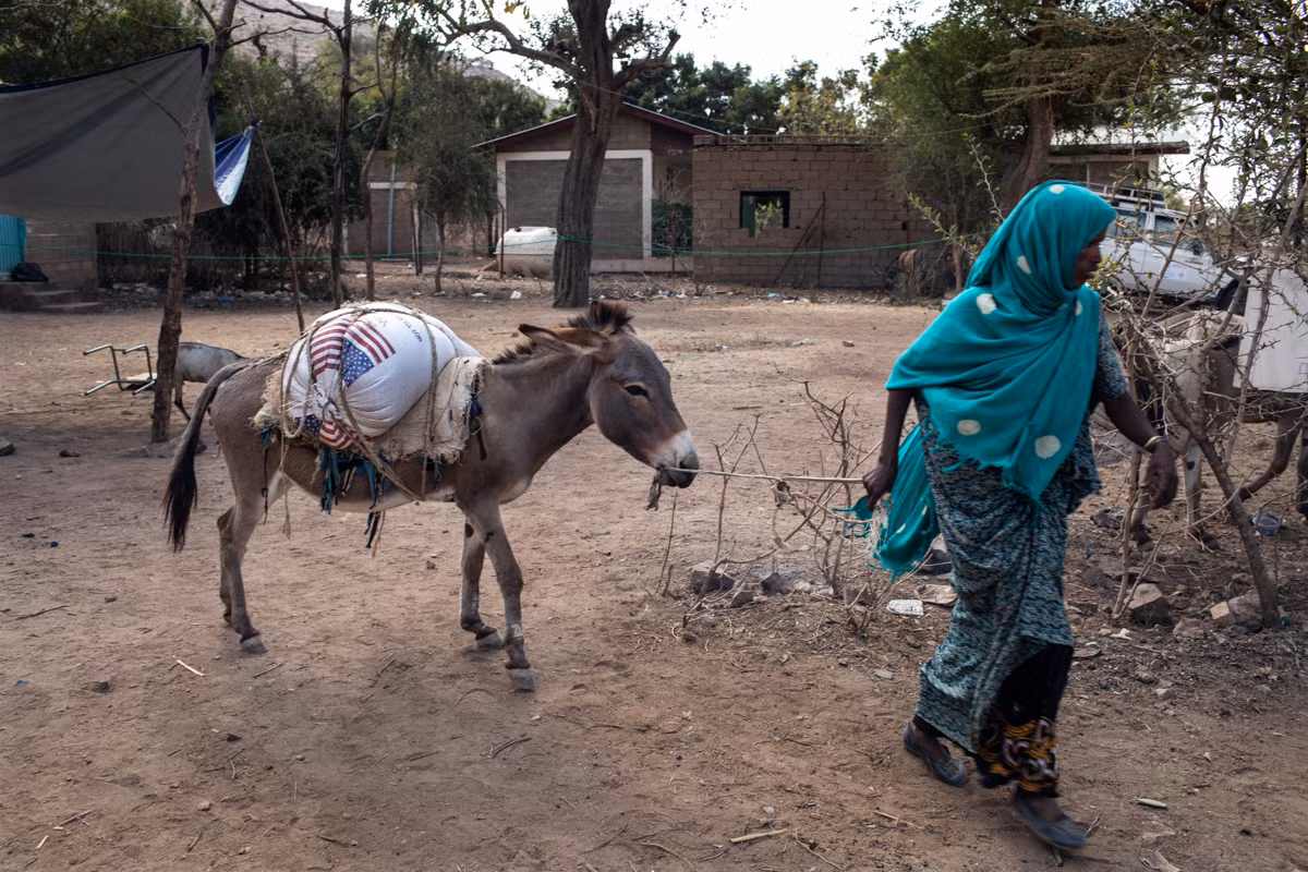 Khon cung cuoc song nguoi dan Chau Phi vi thien tai hoanh hanh-Hinh-10