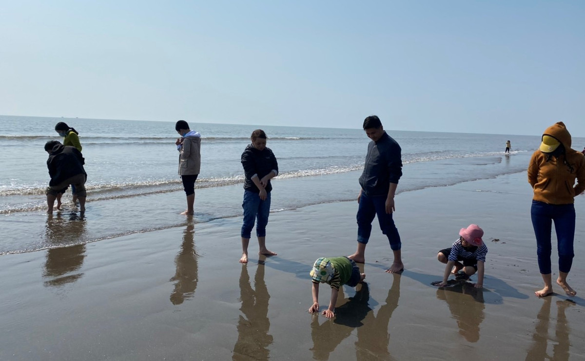 Những vị khách đến với Quất Lâm chủ yếu là trẻ em. Việc mò ngao, bắt cáy ngay tại bãi biển khiến lũ trẻ thích thú