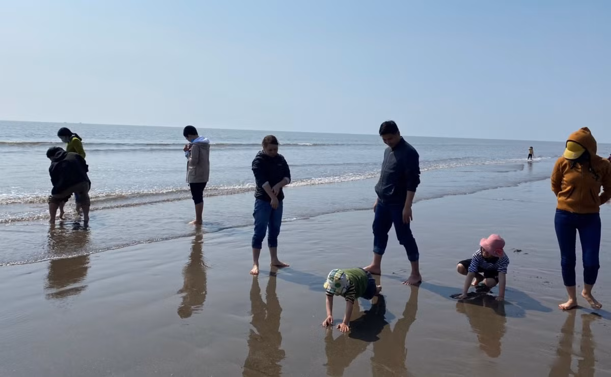 Những vị khách đến với Quất Lâm chủ yếu là trẻ em. Việc mò ngao, bắt cáy ngay tại bãi biển khiến lũ trẻ thích thú