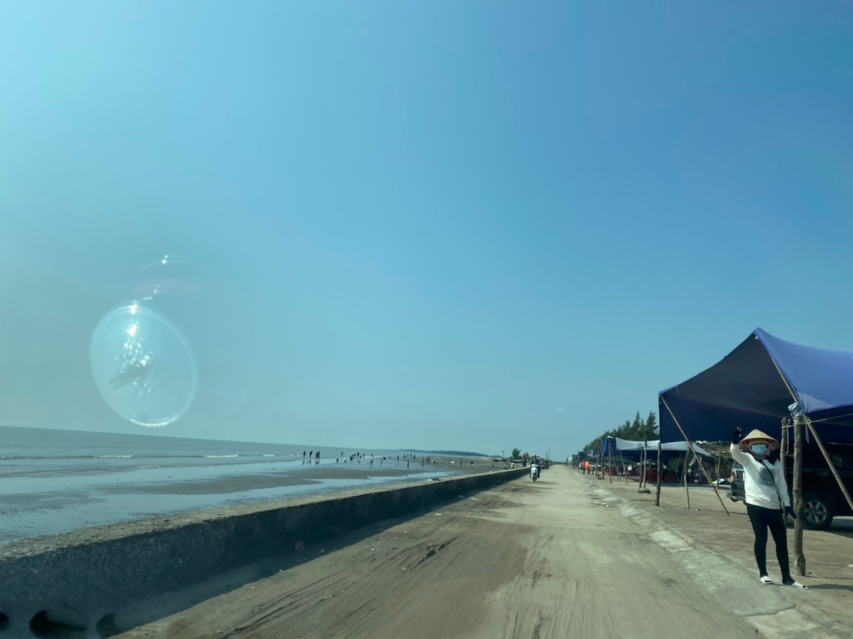 Thấy khách đến, nhiều chủ quán hàng thi nhau vẫy tay mời khách vào ăn hải sản.