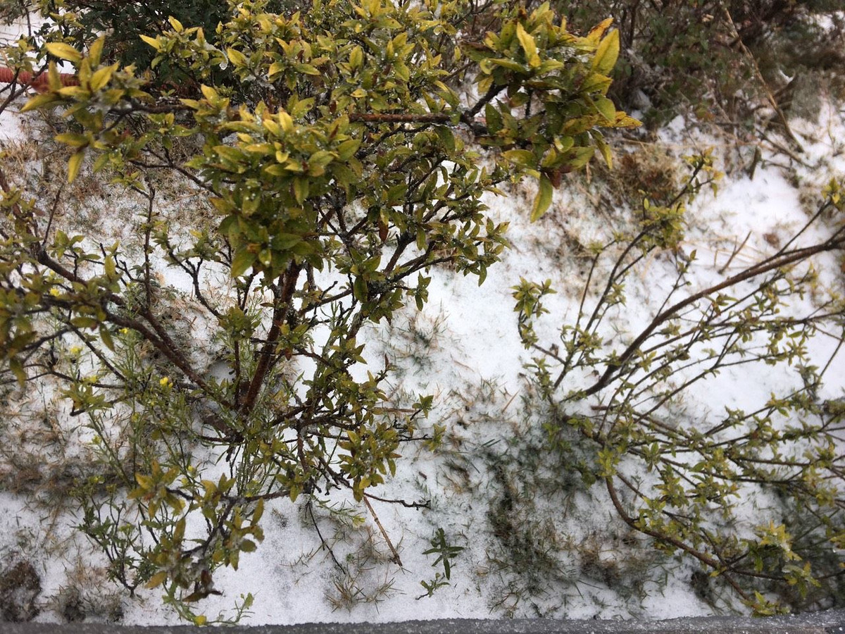 Khu vực Hà Nội chiều tối và đêm nay (8/2), có mưa rào và dông; ngày mai (9/2) có mưa vừa, mưa to và dông, cục bộ có mưa rất to, trời chuyển rét với nền nhiệt độ thấp nhất khoảng 13-16 độ. 