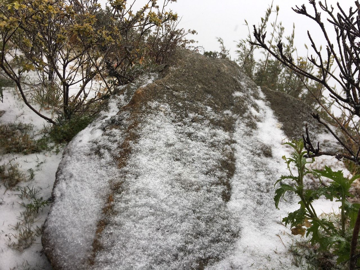 Tuyết đã phủ trắng tại Fansipan và đang thu hút nhiều du khách