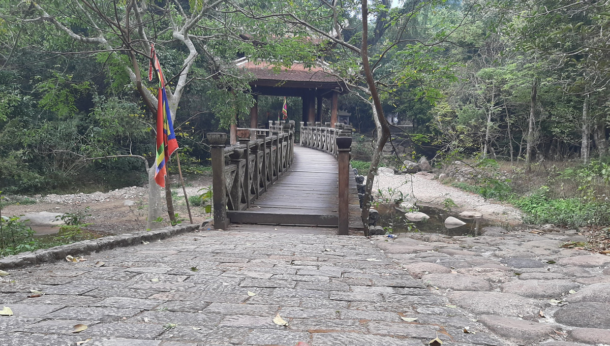 Không có người đến dâng hương, vãn cảnh khiến Yên Tử càng thêm tĩnh lặng giữa rừng núi