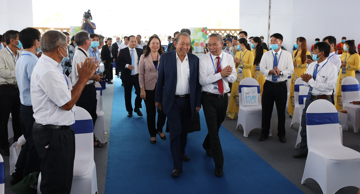 Khoi cong Du an chan nuoi bo sua cong nghe cao quy mo lon nhat DBSCL