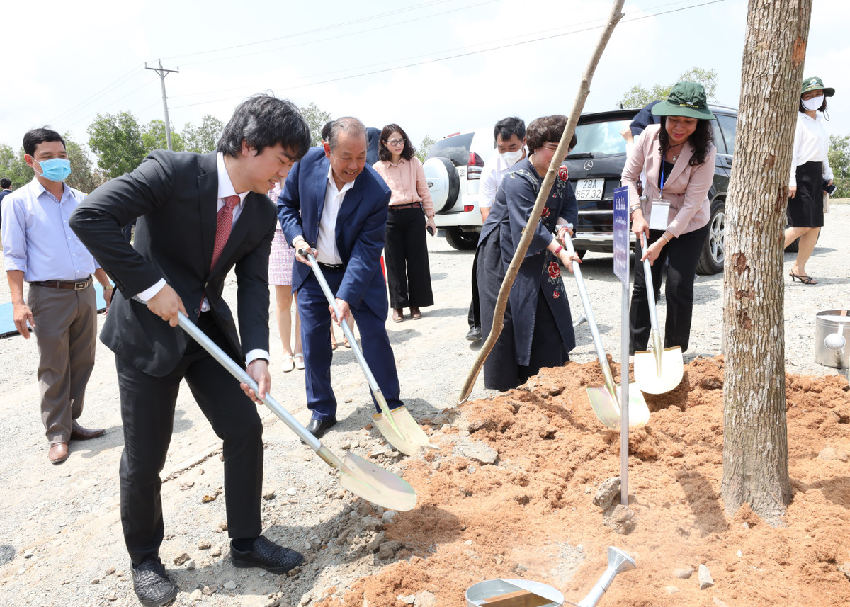 Khoi cong Du an chan nuoi bo sua cong nghe cao quy mo lon nhat DBSCL-Hinh-2