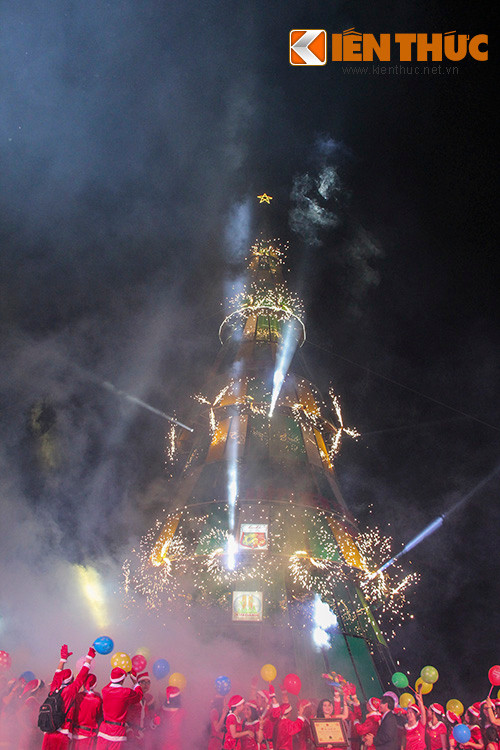 Trước đó, vào tối 20/12, một cây thông cao 36 mét, đường kính 14 mét cũng đã được xác lập kỷ lục cây thông cao nhất Việt Nam.