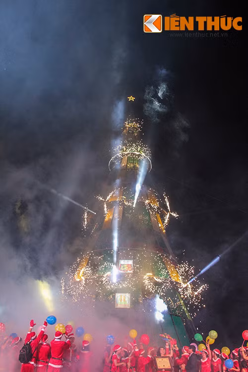 Trước đó, vào tối 20/12, một cây thông cao 36 mét, đường kính 14 mét cũng đã được xác lập kỷ lục cây thông cao nhất Việt Nam.