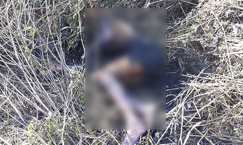 Thi the dan ong chay den trong bui ram hinh anh