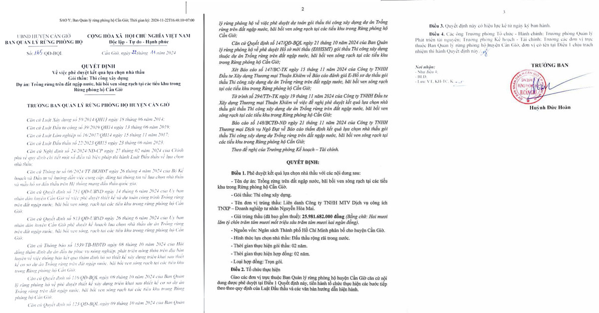 TP HCM: Lien danh TNXP - Hoa Mai, 1 ngay trung 3 goi thau tai Can Gio-Hinh-2