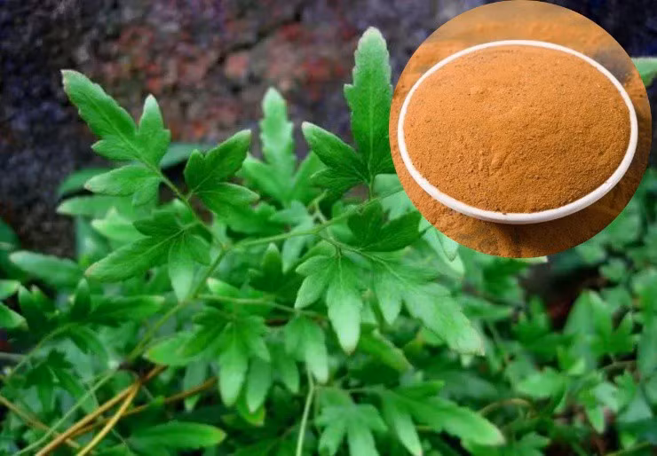 Loai cay “de” ra cat, gom ban la bon tien