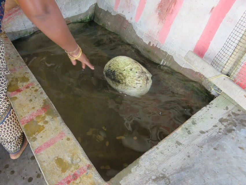 Ngày nay, những viên đá nổi kỳ lạ được tìm thấy quanh Rameshwaram khiến nhiều người cho rằng nó thuộc về thần Rama. Tuy nhiên, giới khoa học hiện chưa thể lý giải vì sao những viên đá này có thể nổi trên mặt nước mà không bị chìm.