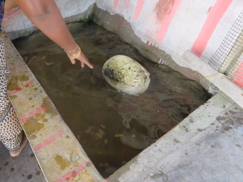 Ngày nay, những viên đá nổi kỳ lạ được tìm thấy quanh Rameshwaram khiến nhiều người cho rằng nó thuộc về thần Rama. Tuy nhiên, giới khoa học hiện chưa thể lý giải vì sao những viên đá này có thể nổi trên mặt nước mà không bị chìm.