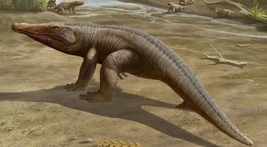 "Mặc dù loài mới thể hiện các đặc điểm rõ ràng đặt nó trong họ Proterochampsidae nhưng nó lại mang một bộ đặc điểm chi sau bất thường", nhóm nghiên cứu cho biết.