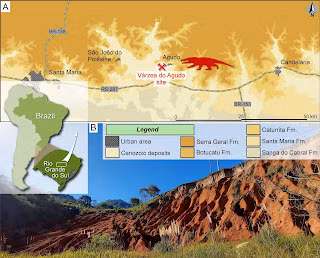 Bàn chân của Stenoscelida aurantiacus có kích thước tương tự khủng long. Thế nhưng, bàn chân trước có 5 ngón giống như bàn tay.