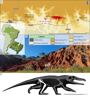 Cụ thể, nhóm chuyên gia khoa học do nhà cổ sinh vật học Rodrigo Temp Müller từ Trường ĐH Liên bang Santa Maria, Brazil, dẫn đầu cho biết đã phục dựng hình ảnh quái thú Stenoscelida aurantiacus dựa trên hóa thạch tìm thấy.