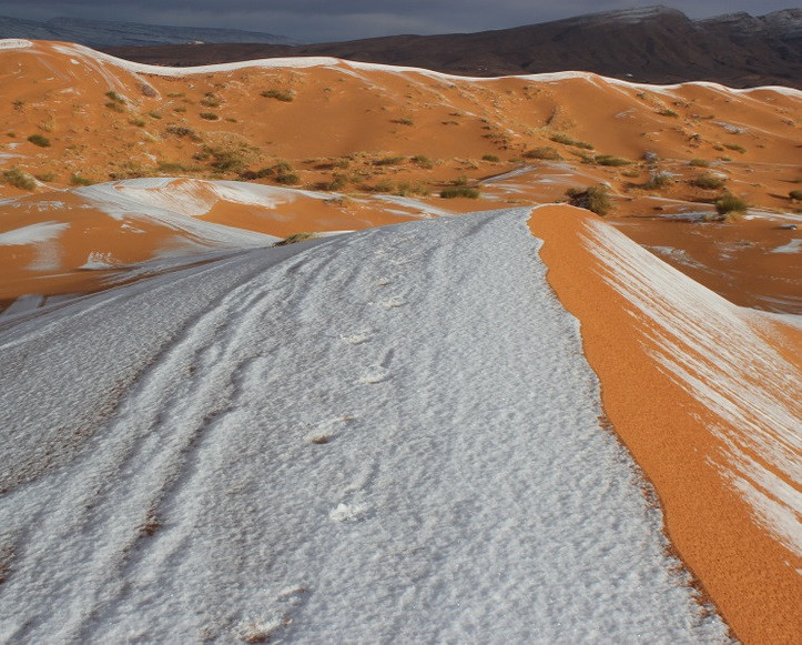 Hiện tượng tuyết rơi hiếm hặp từng xảy ra ở Sahara là vào các năm: 1979, 2016, 2018, 2021. Lần gần nhất tuyết rơi tại sa mạc này là vào tháng 1/2022.