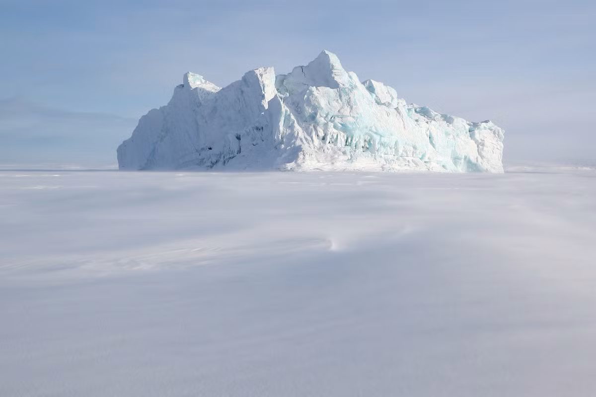 Pandoravirus thuộc chi virus khổng lồ được phát hiện lần đầu tiên năm 2013. Nó có kích thước lớn thứ hai trong số những chi virus đã biết sau pithovirus.