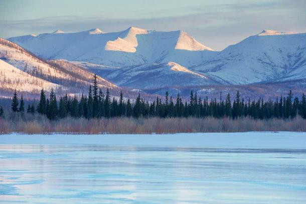 Theo các chuyên gia, Pandoravirus dài 1 micromet và rộng 0,5 micromet. Điều này có nghĩa loại virus này chỉ có thể quan sát được dưới kính hiển vi nhỏ.