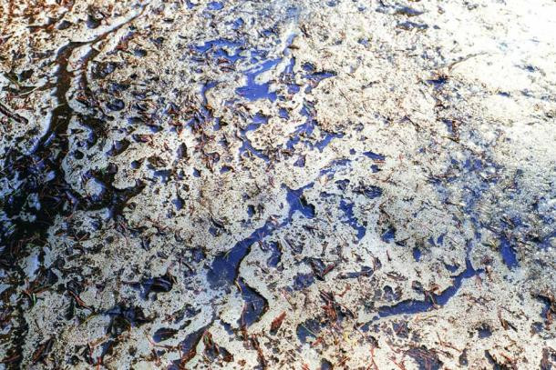 Theo đó, các chuyên gia lo ngại nhiều đồ vật và sinh vật bị chôn vùi trong suốt hàng nghìn năm sẽ "sống lại".