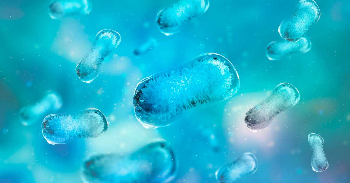 Tuy nhiên, khi hiện tượng ấm lên toàn cầu diễn ra khiến nhiệt độ trên Trái đất tăng, lớp đất đóng băng vĩnh cửu được rã đông. Các sông băng trên thế giới cũng có nguy cơ tan chảy.