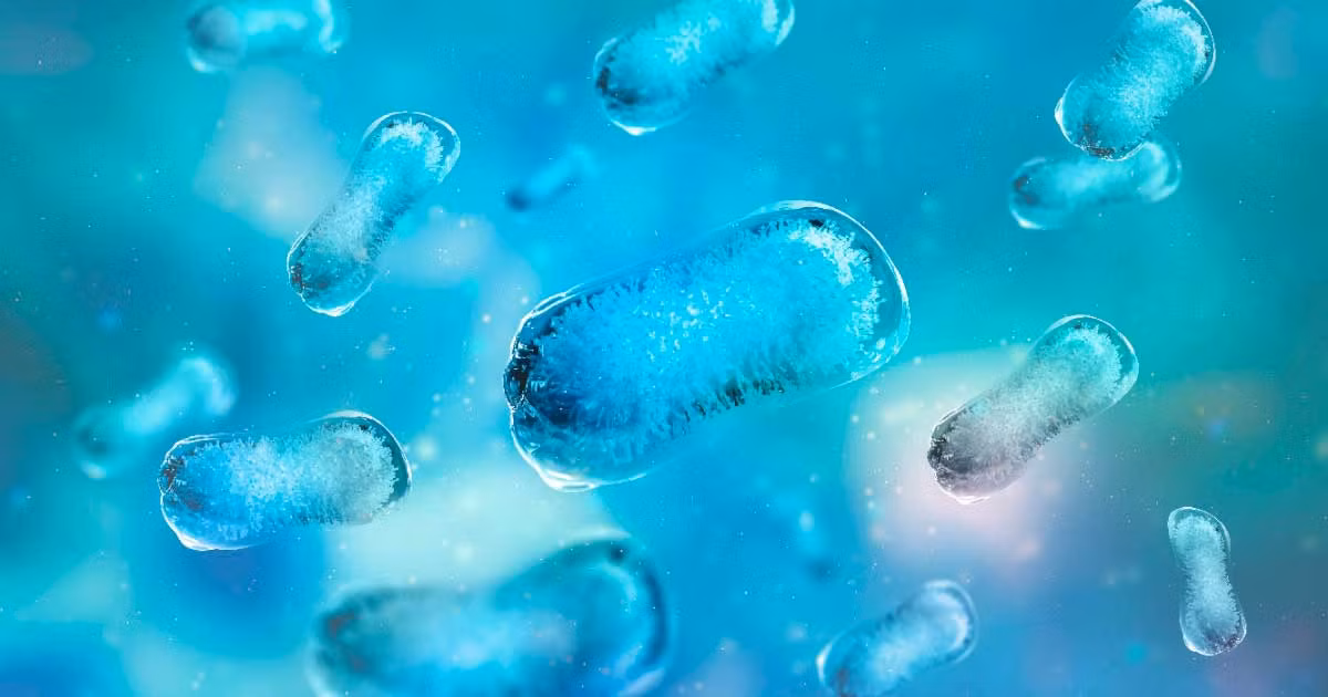 Tuy nhiên, khi hiện tượng ấm lên toàn cầu diễn ra khiến nhiệt độ trên Trái đất tăng, lớp đất đóng băng vĩnh cửu được rã đông. Các sông băng trên thế giới cũng có nguy cơ tan chảy.