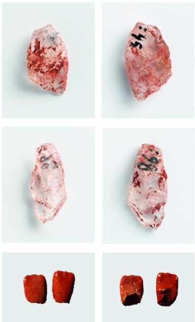 Thêm nữa, các chuyên gia cũng tìm thấy một chiếc lông chim ưng có thể dùng để dẫn hướng cho mũi tên hoặc dùng trong trang trí y phục.