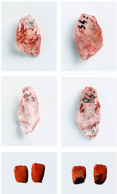 Thêm nữa, các chuyên gia cũng tìm thấy một chiếc lông chim ưng có thể dùng để dẫn hướng cho mũi tên hoặc dùng trong trang trí y phục.