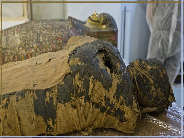 Thông qua các kiểm tra, giới chuyên gia xác định xác ướp "Quý bà bí ẩn" thuộc về một phụ nữ mang thai qua đời vào khoảng 2.000 năm trước. Vào thời điểm bà tử vong, thai nhi đang tuần thứ 28. Lúc ấy, bà khoảng 20 - 30 tuổi.