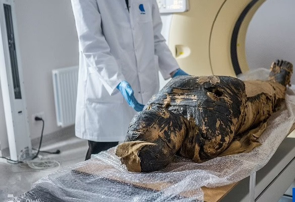 Trong suốt thời gian qua, các chuyên gia nỗ lực xác định danh tính của "Quý bà bí ẩn" nhưng đến nay vẫn chưa tìm được manh mối nào giúp làm sáng tỏ bí mật này.