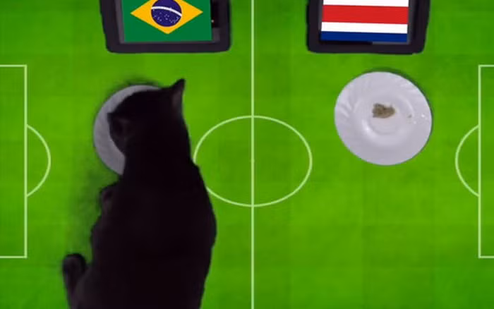 Mèo "tiên tri" Cass cũng dự đoán kết quả tất cả các trận đấu tại EURO 2021. Chú mèo này đưa ra dự đoán về kết quả trận đấu bằng cách chọn phần thức ăn sẽ được đặt trong đĩa bố trí bên cạnh lá quốc kỳ của 2 đội tuyển.