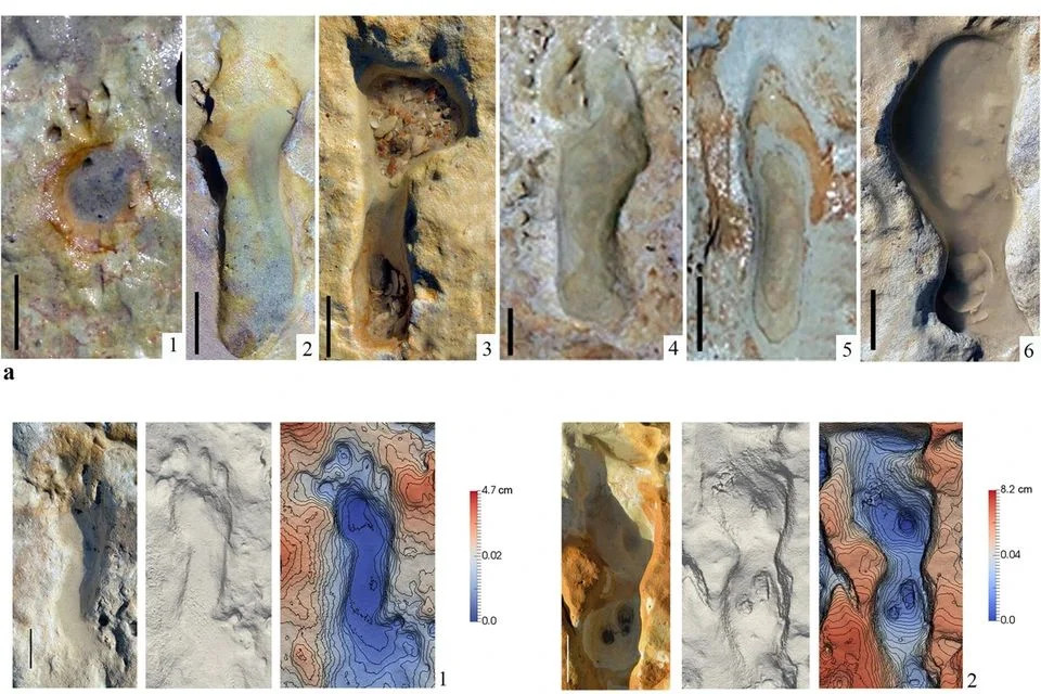 Trong nghiên cứu được công bố trên tạp chí Báo cáo khoa học, các nhà cổ sinh vật học thuộc Đại học Huelva của Tây Ban Nha cho hay đã phát hiện 87 dấu chân loài vượn người chưa xác định và dấu chân của động vật liên quan.