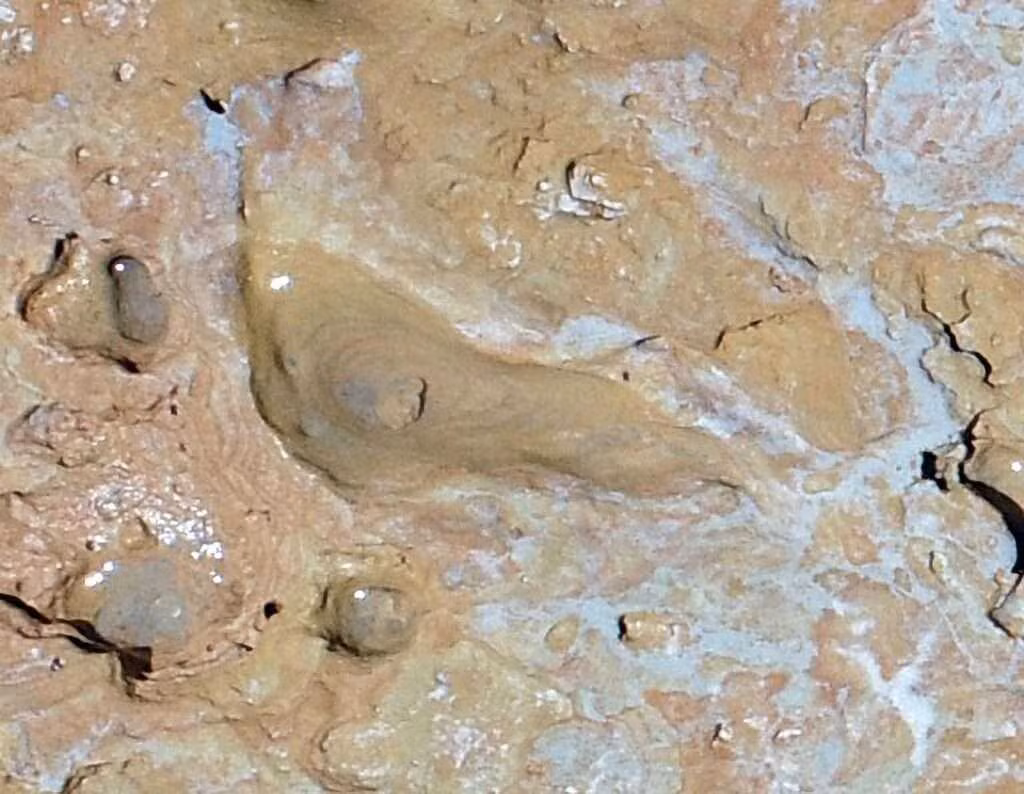 Tiến sĩ Eduardo Mayoral, tác giả chính của nghiên cứu cho hay loài vượn người trên sống cách đấy khoảng 295.800 năm.