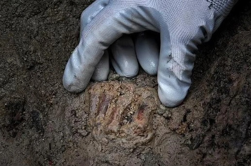 Kết quả nghiên cứu bộ hài cốt có màu đỏ đặc biệt này hé lộ những bí mật bất ngờ. Cụ thể, các nhà nghiên cứu cho hay, bộ hài cốt thuộc về một người đàn ông qua đời khi khoảng 40 - 45 tuổi.