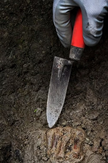 Người đàn ông này là một trong hàng ngàn người thiệt mạng trong thảm kịch núi lửa Vesuvius phun trào dữ dội vào năm 79 sau Công nguyên.