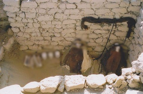 Theo các chuyên gia. nhiều khả năng những xác ướp ở nghĩa trang Chauchilla của các tộc trưởng hoặc những người có uy tín của nền văn minh Nazca.