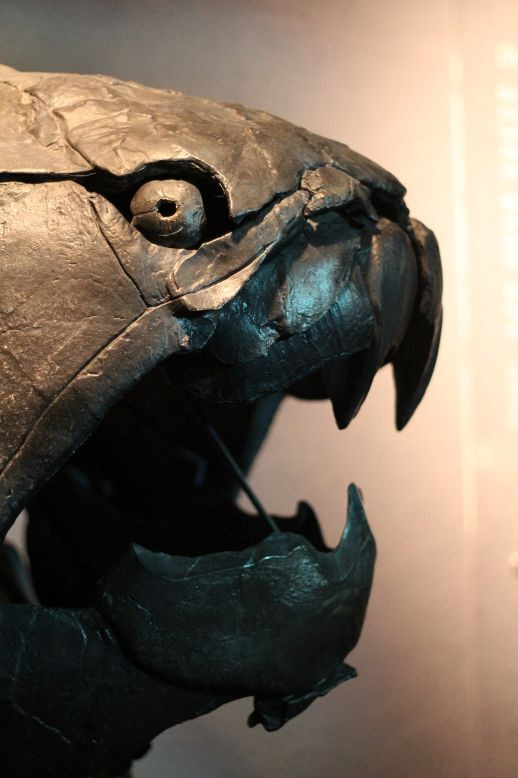 Thêm nữa, loài cá Dunkleosteus terrelli có khả năng thực hiện những cú táp (đóng và mở) như một tia chớp (trong 50 giây) khiến nạn nhân vừa bị cắn rất mạnh và chết ngay trong cùng một thời gian.