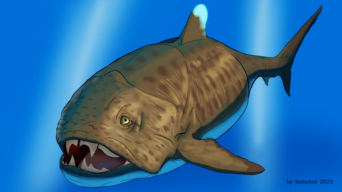 Dunkleosteus terrelli thuộc chi Dunkleosteus, sở hữu bộ hàm lớn và lớp giáp bọc quanh đầu. Điều này giúp chúng trở thành "tử thần" dưới đại dương.