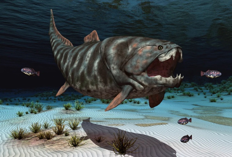 Với sức mạnh lớn như vậy, một con Dunkleosteus terrelli trưởng thành có thể dễ dàng cắn đứt đôi cơ thể của một con cá mập trắng lớn nếu như loài cá này còn sống đến ngày nay.