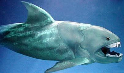 Thế nhưng, trong quá khứ, một loài cá đủ lớn và khỏe để có thể cắn đứt đôi cơ thể của một con cá mập trắng lớn. Đó chính là Dunkleosteus terrelli - loài cá thống trị các đại dương vào khoảng 400 triệu năm trước.