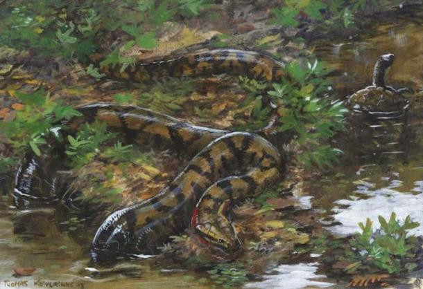 Loài rắn Titanoboa đã sinh sống trong các đầm lầy Colombia cách đây 60 triệu năm trước khi biến mất.