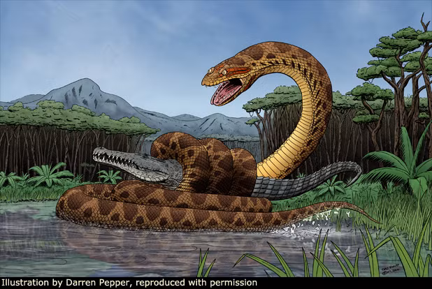 Tuy nhiên, một quan điểm khác cho rằng, với trọng lượng cơ thể hơn 1 tấn, thức ăn của loài rắn Titanoboa có thể là rùa, cá sấu, cá...